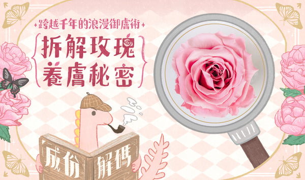 【成份解碼】拆解玫瑰御膚術：以浪漫香氣紓緩乾燥敏感肌