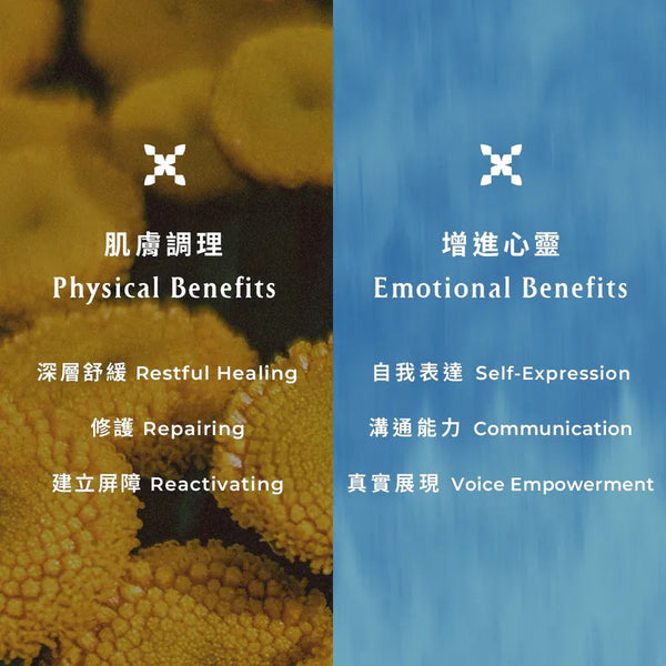 INNA ORGANIC Blue Tansy Restful Healing Face Mask 藍艾菊舒眠修護精油面膜