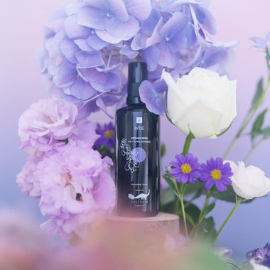 arbū Botanic Eden - The 7 Floral Wonders 七色奇蹟花水