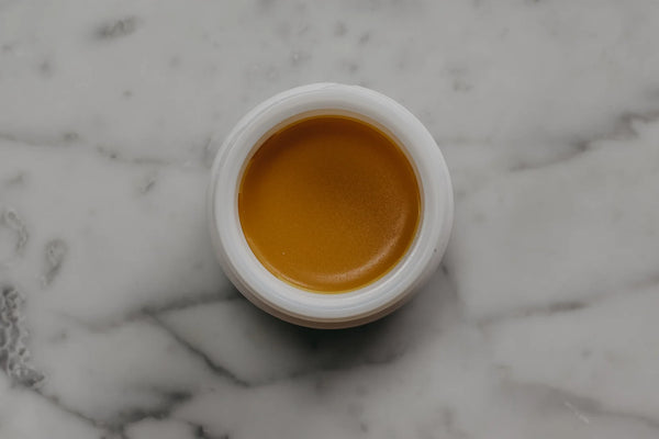 TIDELANDS HOUSE Terrain Sage Solid Nectar Concentrated Facial Balm 野生白樺茸修復軟膏